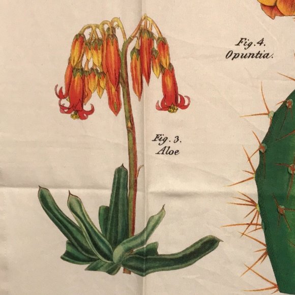 2019 calendar tea towel with cactus NWT - Picture 8 of 16